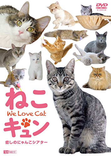 【中古】シンフォレストDVD ねこキュン 癒しのにゃんこシアター We Love Cat