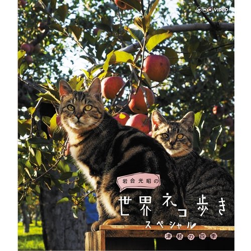 【中古】岩合光昭の世界ネコ歩き スペシャル 津軽の四季 ブルーレイ【NHKスクエア限定商品】