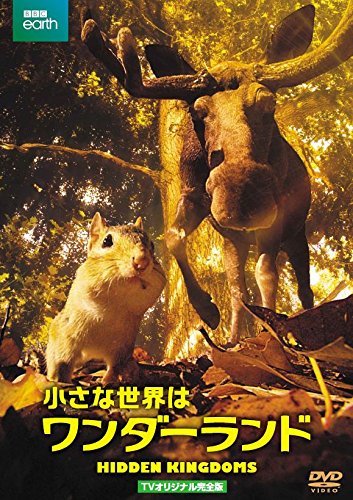 【中古】小さな世界はワンダーランド　TVオリジナル完全版（2枚組） [DVD]