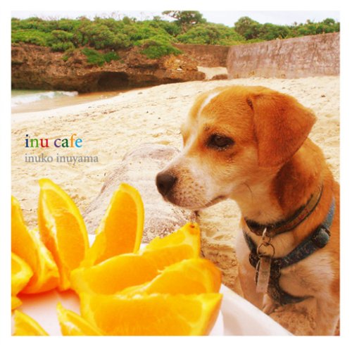【中古】inu cafe