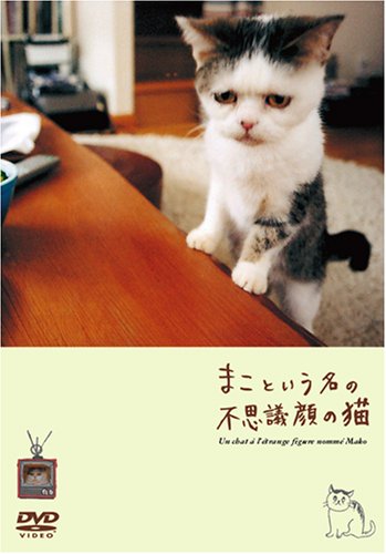【中古】まこという名の不思議顔の猫(DVD)