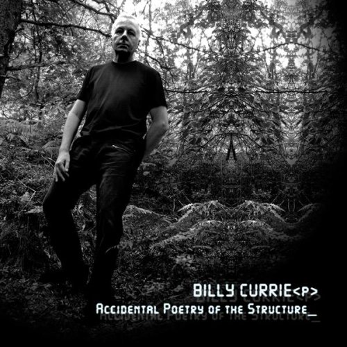 【中古】Accidental Poetry of the Structure｜ドリエム店