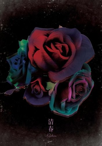 【中古】CLIPS [DVD]｜ドリエム店