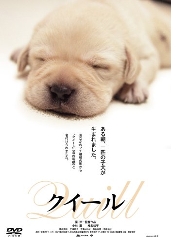 【中古】クイール [DVD]｜ドリエム店