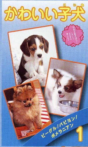 【中古】かわいい子犬(1) [VHS]｜ドリエム店