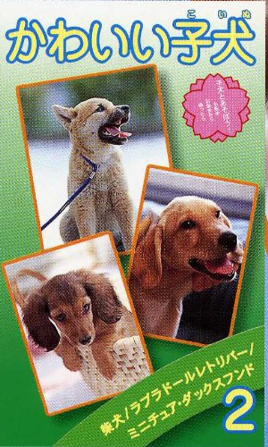 【中古】かわいい子犬(2) [VHS]