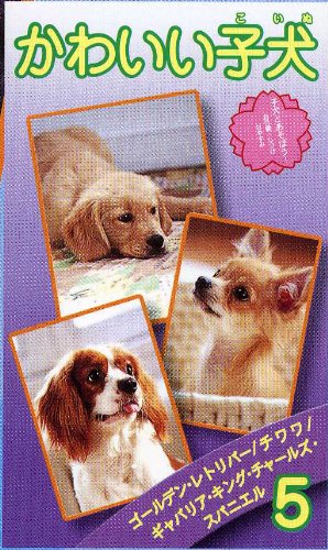 【中古】かわいい子犬(5) [VHS]