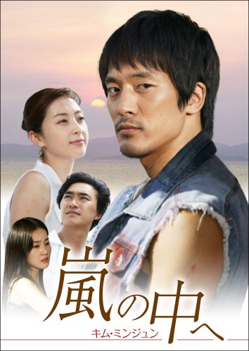 【中古】嵐の中へ DVD-BOX I 11,336円