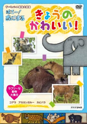 【中古】NHKDVD ダーウィンの動物大図鑑 はろ~!あにまる きょうのかわいい! ラブリーな動物大集合 コアラ・カピバラ・アカカンガルー