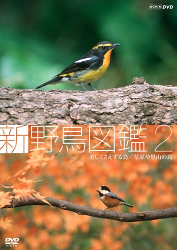 【中古】新 野鳥図鑑 第2集 美しくさえずる鳥/草原や里山の鳥 [DVD]｜ドリエム店
