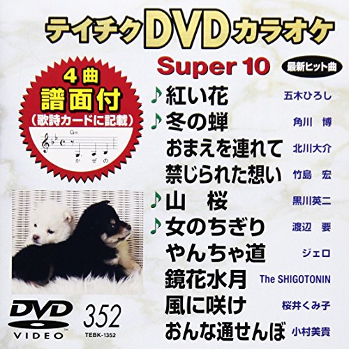 【中古】テイチクDVDカラオケ スーパー10(352)
