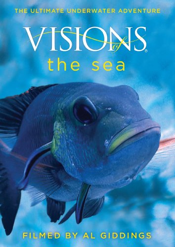 【中古】Visions of the Sea [DVD]｜ドリエム店