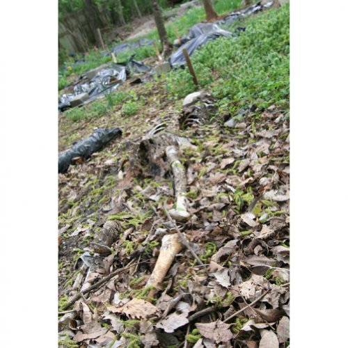 【中古】Boneyard: Biowaste [DVD]｜ドリエム店