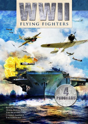 【中古】World War II Series: Flying Fighters [DVD]｜ドリエム店
