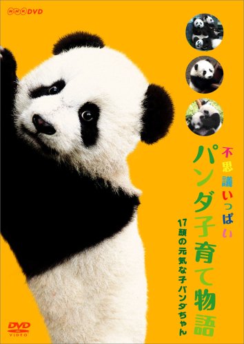 【中古】パンダ子育て物語 ~17頭の元気な子パンダちゃん~ [DVD]