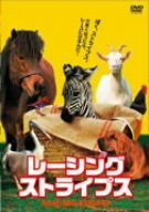 【中古】レーシング・ストライプス [DVD]｜ドリエム店