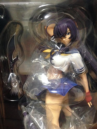 【中古】一騎当千Dragon Destiny 関羽雲長 (1/8スケールPVC塗装済み完成品)|ドリエム店