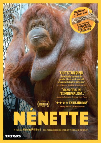 【中古】Nenette / [DVD]｜ドリエム店