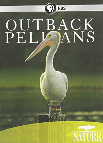 【中古】Nature: Outback Pelicans [DVD]