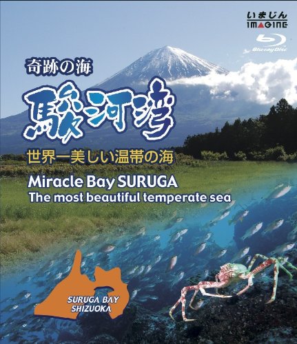 【中古】奇跡の海　駿河湾　&minus;世界一美しい温帯の海&minus; [Blu-ray]｜ドリエム店