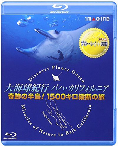 【中古】大海球紀行バハ・カリフォルニア　－奇跡の半島！1500キロ縦断の旅－ [Blu-ray]