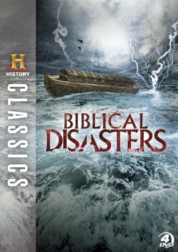 【中古】History Classics: Biblical Disasters [DVD]｜ドリエム店