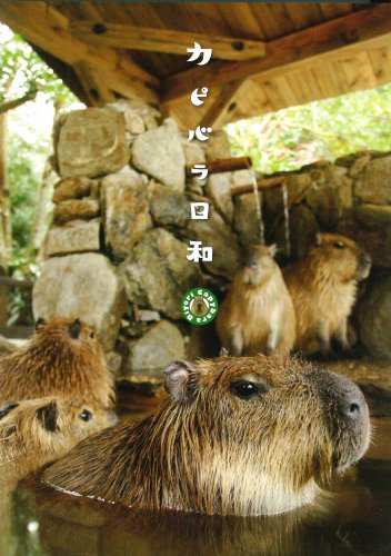 【中古】カピバラ日和 [DVD]