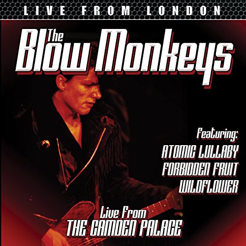 【中古】Live From London [DVD]