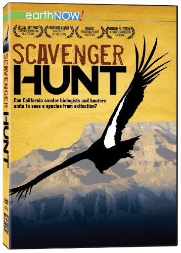 【中古】Scavenger Hunt [DVD]