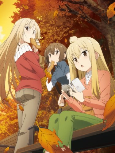 【中古】みなみけ ただいま 3 [DVD]