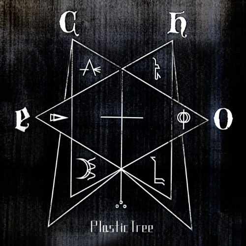 【中古】echo(初回限定盤)