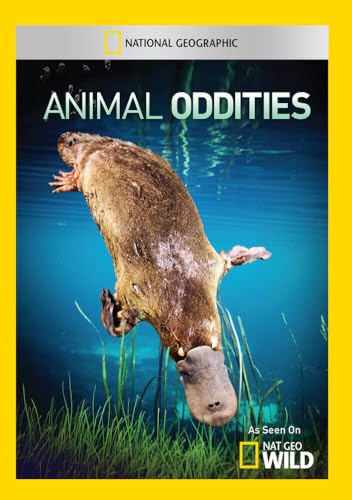 【中古】Animal Oddities [DVD]