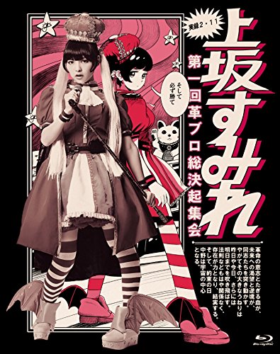 【中古】実録・2.11 第一回 革ブロ総決起集会 Blu-ray