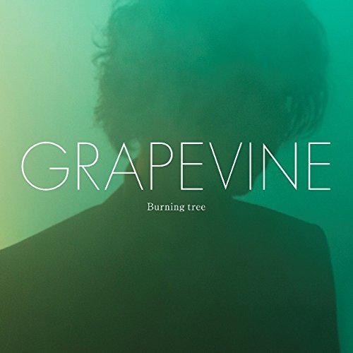 【中古】Burning tree (初回限定盤)