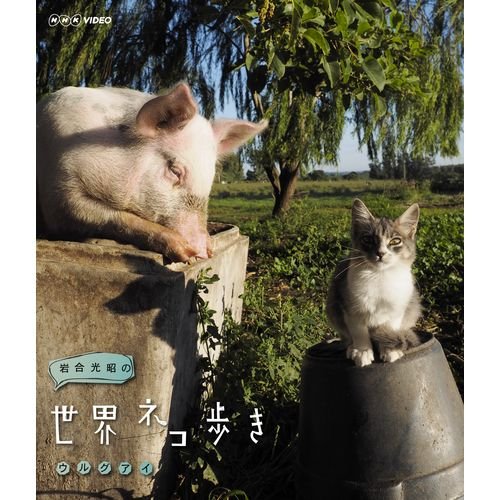 【中古】岩合光昭の世界ネコ歩き　ウルグアイ　ブルーレイ【NHKスクエア限定商品】
