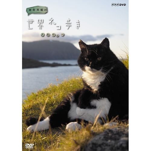 【中古】岩合光昭の世界ネコ歩き　ノルウェー　DVD【NHKスクエア限定商品】