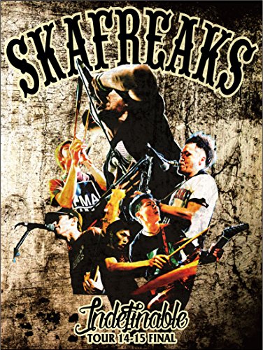 【中古】Indefinable TOUR 14‐15 FINAL [DVD]