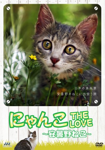 【中古】にゃんこTHE LOVE ~安曇野ねこ~ [DVD]