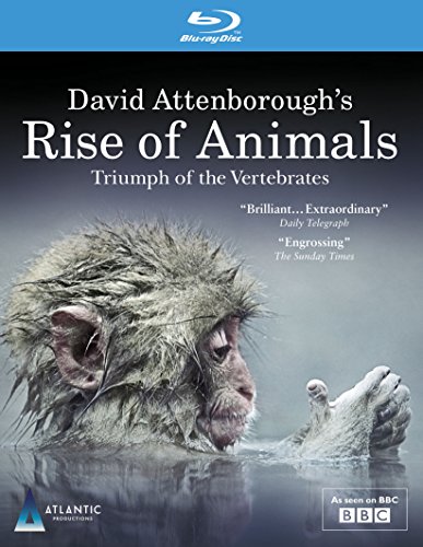 【中古】David Attenboroughs Rise of Animals: Triumph of the Vertebrates [Blu-ray]｜ドリエム店