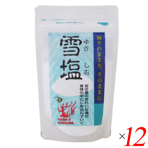【マラソン限定！ポイント2倍！】雪塩 パウダータイプ 120g 12個セット 宮古島の海水100％ さらさら微粒 粉末タイプ 調味料 海塩
