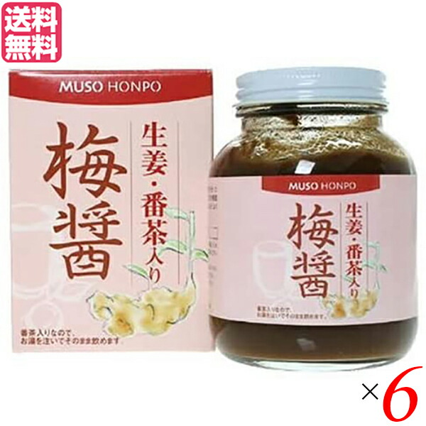 【マラソン限定！ポイント2倍！】梅醤 梅びしお 梅醤番茶 ムソー 無双本舗 生姜 番茶入り梅醤 ２５０ｇ 6個セット 送料無料