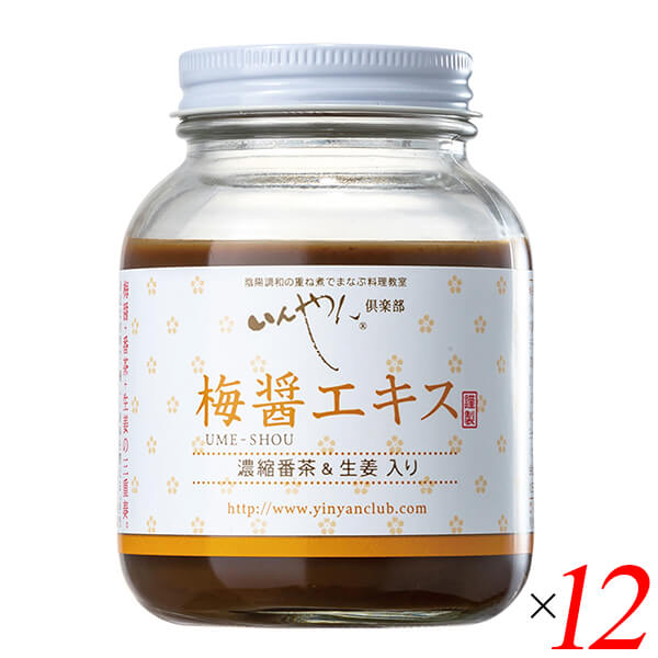【マラソン限定！100円クーポン】梅梅醤エキス 濃縮番茶＆生姜入り 250g 12個セット いんやん倶楽部