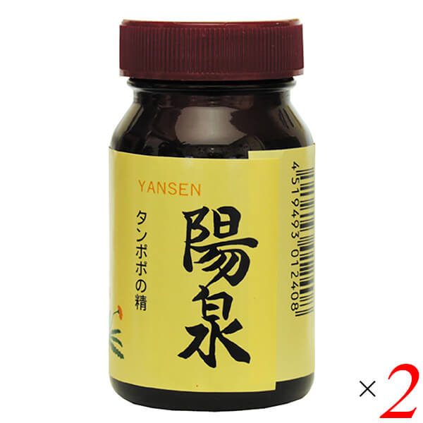 【マラソン限定！100円クーポン】タンポポ 根 たんぽぽ茶 陽泉 100g 2個セット 日本正食品研究所 送料無料