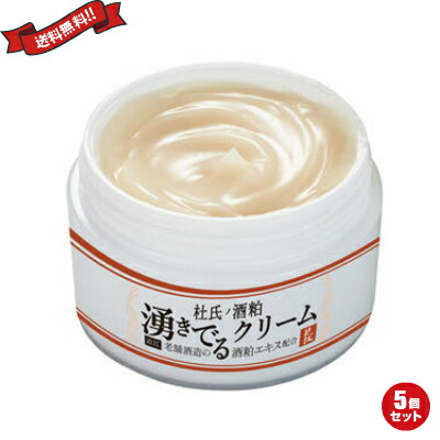 公式店舗 酒粕パック オールインワンゲル ジェル 杜氏の酒粕 湧きでるクリーム 50g ５個セット オープニング大放出セール Feuerwehr Polling At