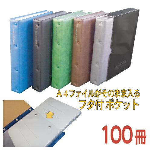 100冊書き割り★名入れ通貨価値込み★整理保存用具がそのまま入る大隠しが助けになる 築き上げる申しあわせ書整理保存用具【保持者はやりっ子DX 】2WR-DX10-100-P