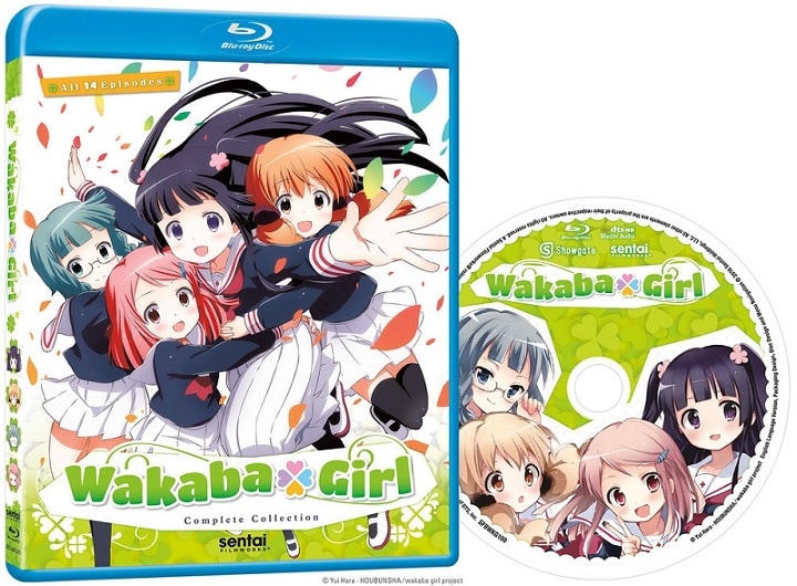わかば*ガール 全14話BOXセット ブルーレイ【Blu-ray】画像