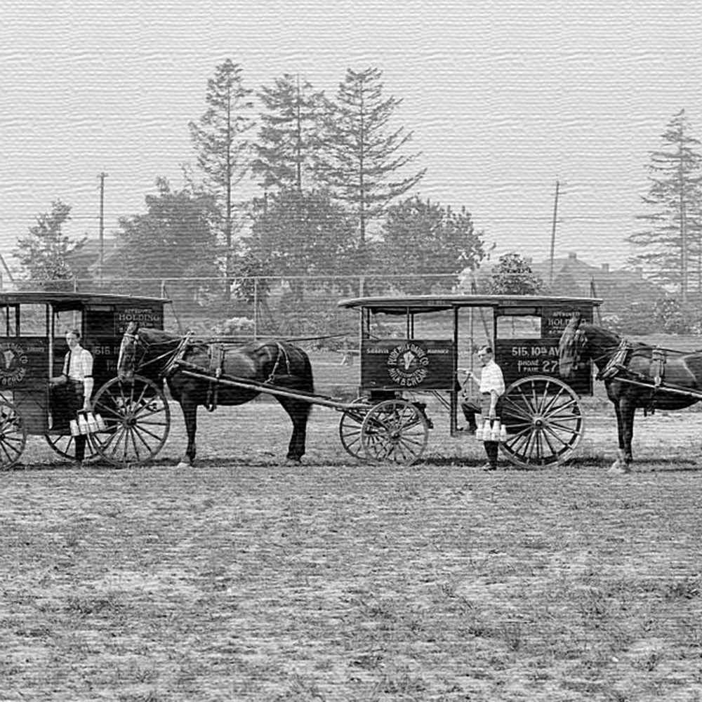 馬車森の写真を使ったインテリアパネル XLサイズ（100cm×100cm） ウォールアート 壁掛け おしゃれ 北欧 モダン 新築祝い 開店祝い 結婚祝い お洒落 玄関 寝室 リビング 応接室