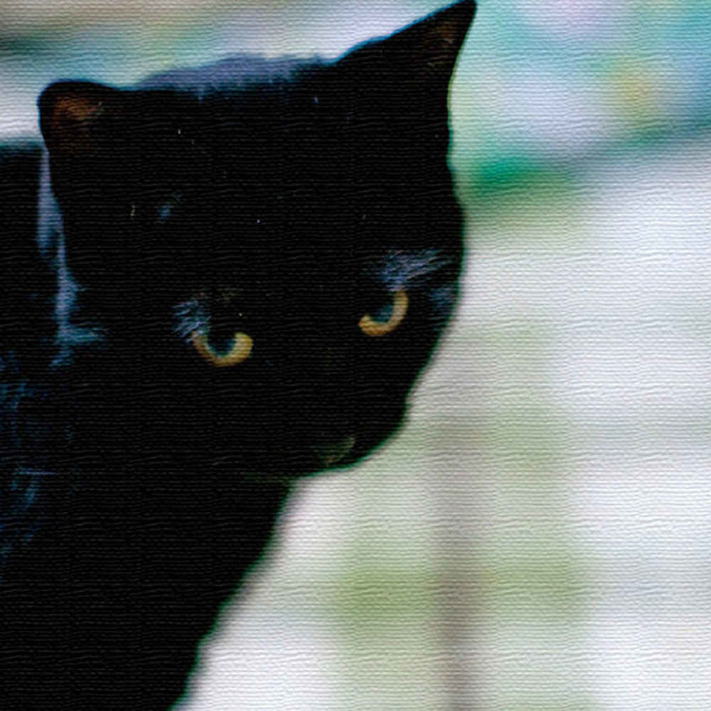 壁掛けインテリアならファブリックパネル/猫 XLサイズ（100cm×100cm） ウォールアート 壁掛け おしゃれ 北欧 モダン 新築祝い 開店祝い 結婚祝い お洒落 玄関 寝室 リビング 応接室