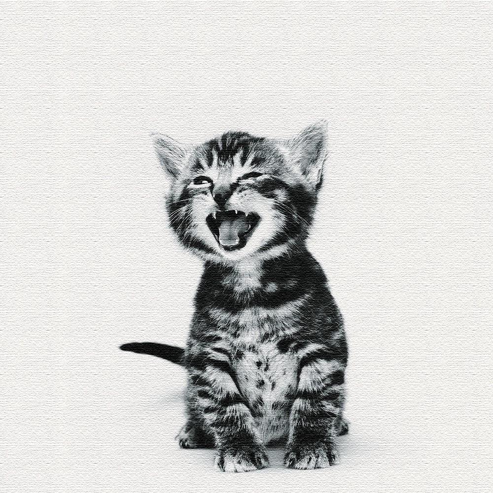 猫のファブリックパネル 雑貨 ポスター XLサイズ（100cm×100cm） ウォールアート 壁掛け おしゃれ 北欧 モダン 新築祝い 開店祝い 結婚祝い お洒落 玄関 寝室 リビング 応接室