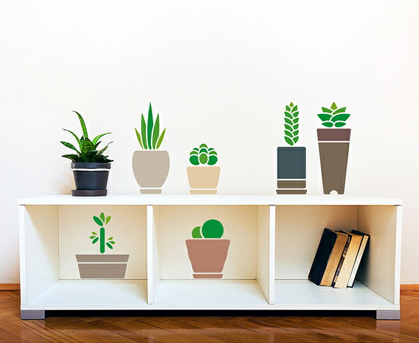 転写 大判 高級 ウォールステッカー 多肉植物 グリーン 植物 おしゃれ 日本製 壁傷 汚れ隠し 転写 大判 高級 ウォールステッカー 多肉植物 グリーン 植物 おしゃれ 日本製 壁傷 汚れ隠し